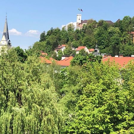 Castle View Studio Ljubljana Extérieur photo